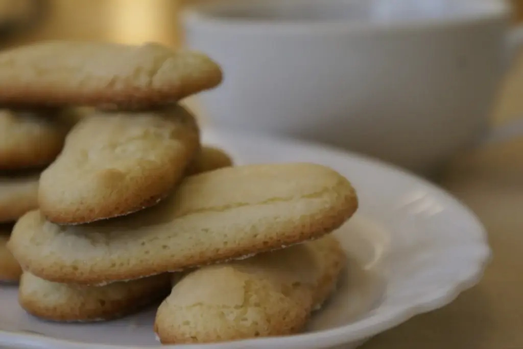 What Can I Use Instead Of Ladyfingers For Tiramisu ? 8 Savoiardi Biscuits