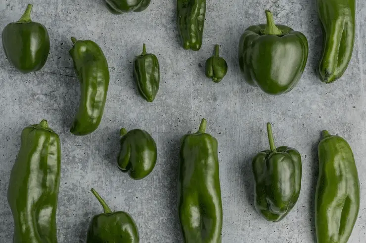 What are the best peppers for stuffing? 3 Poblano peppers | Stuffed Peppers