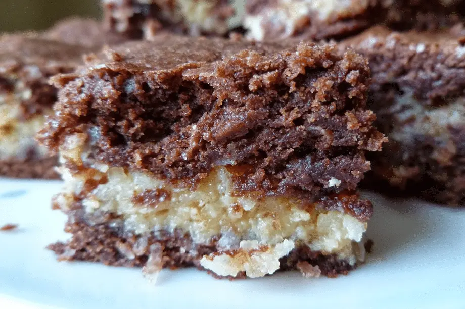 15+ Types Of Brownies You Should Try 11 Chocolate Coconut Brownies