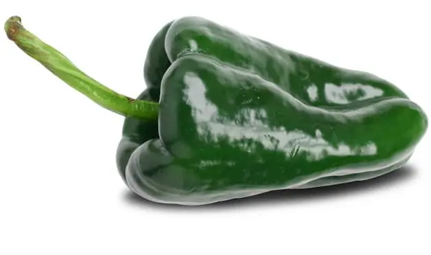What are the best peppers for stuffing? 5 Green Jalapeno Pepper | Ancho Chili