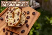 Soft, Chewy Sourdough Cinnamon Raisin Bagels