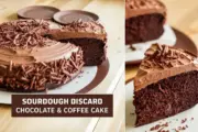 Easy Sourdough Discard Chocolate &amp; Coffee Cake