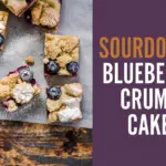 Easy Sourdough Blueberry Crumb Cake Recipe