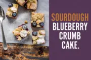 Sourdough Blueberry Crumb Cake