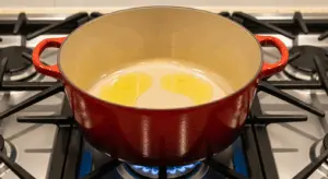 turkey and rice soup