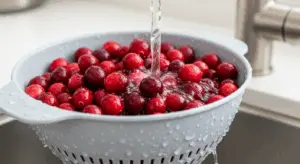 cranberry salsa