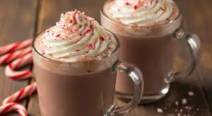 Peppermint Hot Chocolate 11 homemade hot chocolate