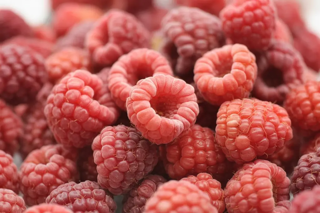 Fresh vs Frozen Raspberries for Raspberry Chocolate Tart