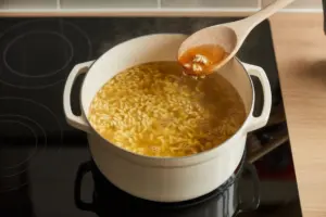 orzo pasta soup
