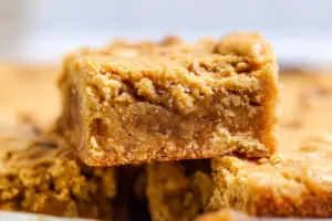 Easy Sourdough Peanut Butter Squares