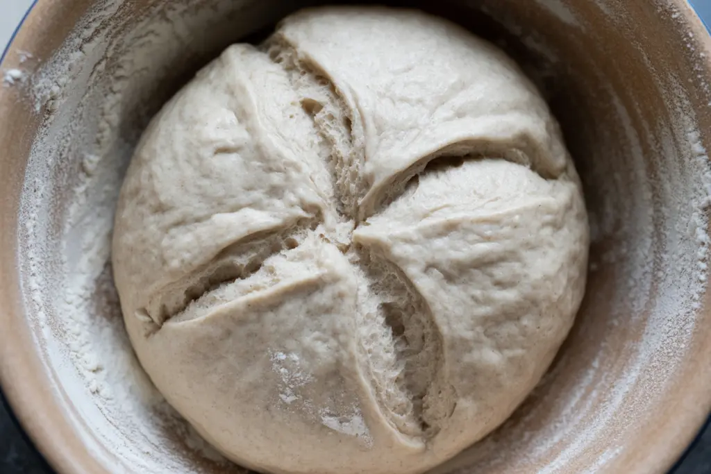 5-Ingredients No Knead Sourdough Bread Recipe 4 no-knead-sourdough-dough.